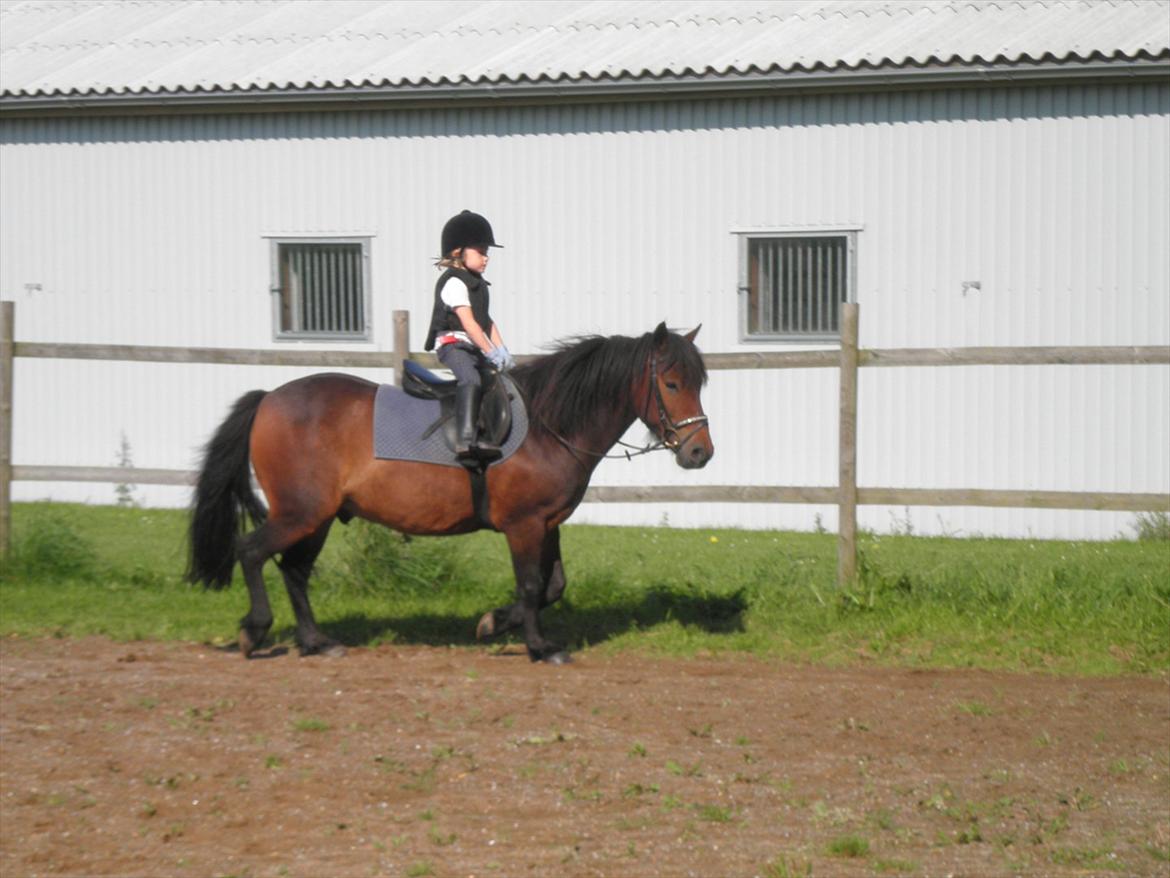 Anden særlig race Magnum.. - Mathilde og Magnum d.21/8-2011 billede 3