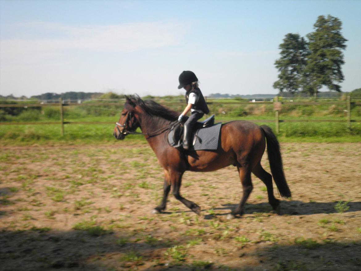 Anden særlig race Magnum.. - d.21/8-2011. billede 6