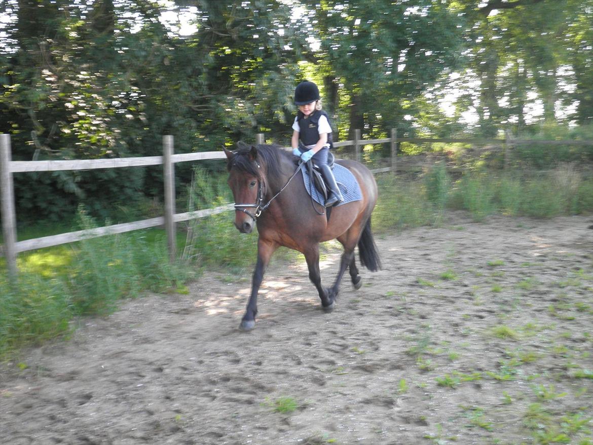 Anden særlig race Magnum.. - Super billede med Mathilde på 3½ år og hendes pony Magnum på 5 år.
D. 21/8-2011. billede 2
