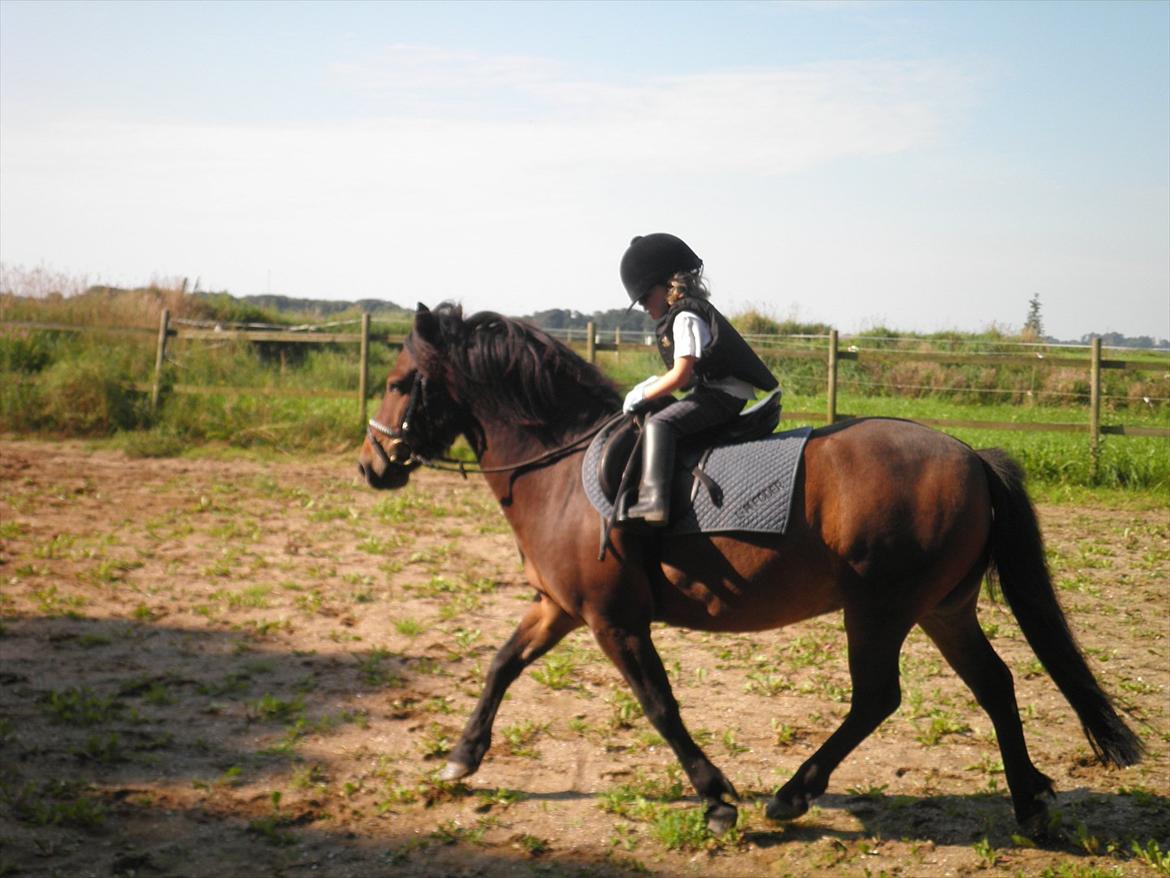 Anden særlig race Magnum.. - d. 21/8-2011. billede 5