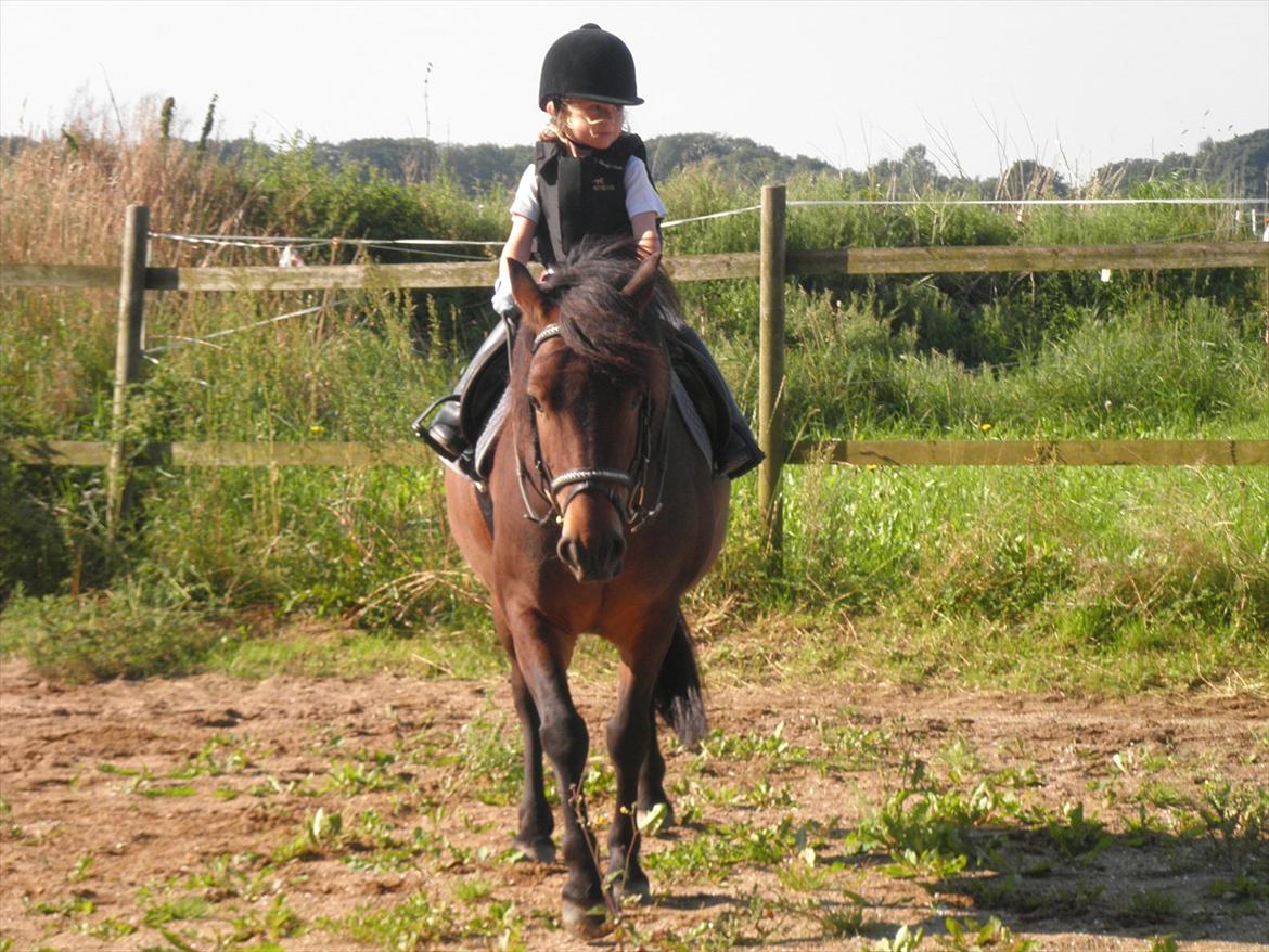 Anden særlig race Magnum.. - d. 21/8-2011. billede 7