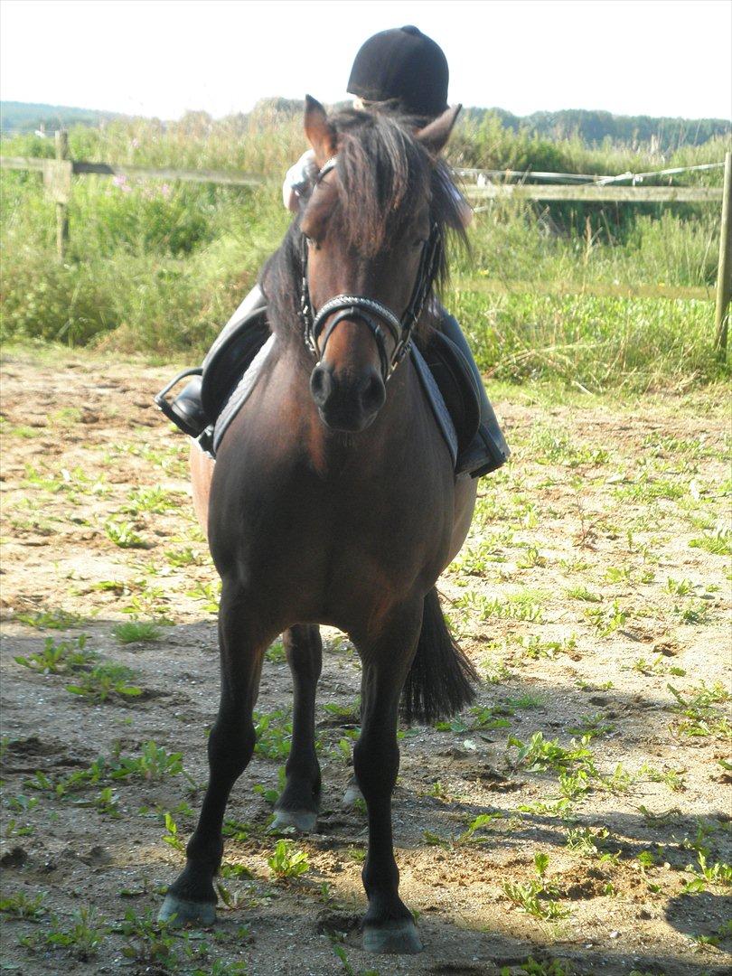 Anden særlig race Magnum.. - d.21/8-2011. billede 4