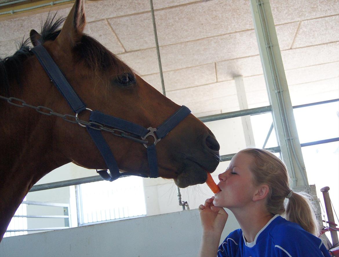 Anden særlig race Magic Boy - Vi deler en gulerod :p billede 14