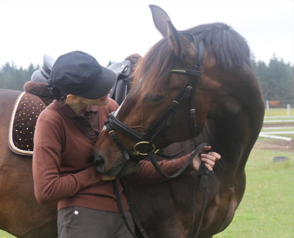 Anden særlig race Monty Hedegaard billede 2
