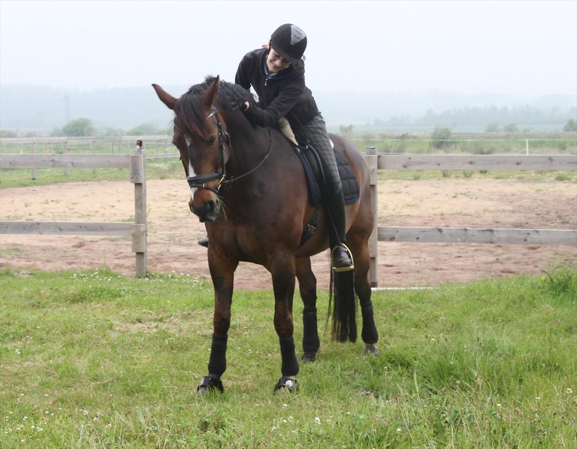 Anden særlig race Monty Hedegaard billede 9