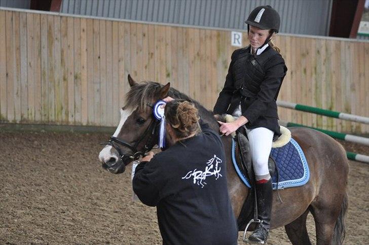 New Forest Roløkke Softice -MIT ET OG ALT!- - Til præmie overrekelse på RKL - D. 14 agust 2011 LC, med 4 sekunder fra vinderen. Mit første spring stævne! -om jeg er stolt?! ja tak:-D billede 9