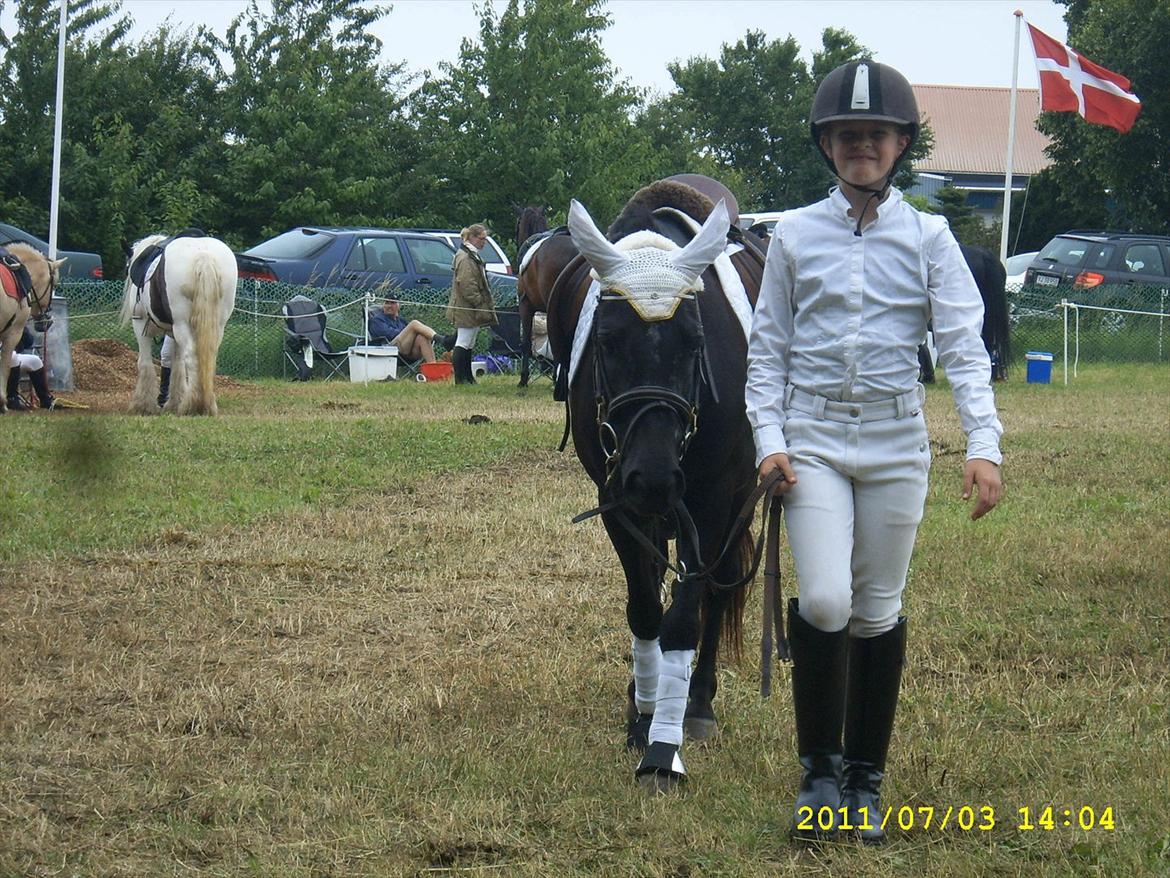 Welsh Mountain (sec A) * * * *Chanti* * * * my prinses ever <3<3<3<3<3333 - Kegnæs ringridning 2011 billede 13