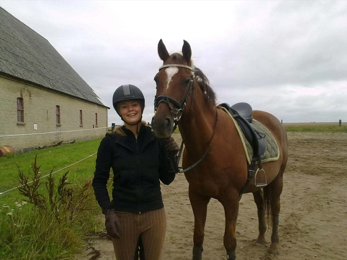 Fuldblod (XX) Sisus - 2. gang på Sisus.  billede 5