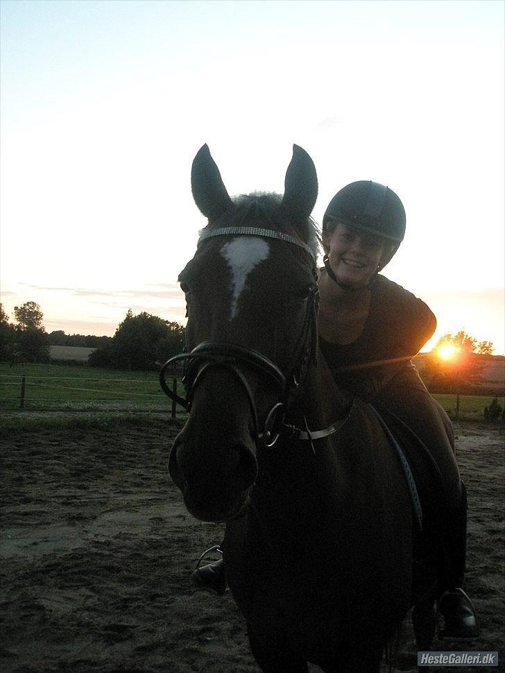 Fuldblod (XX) Sisus - 5. gang på Sisus. Sommer 2011. billede 7