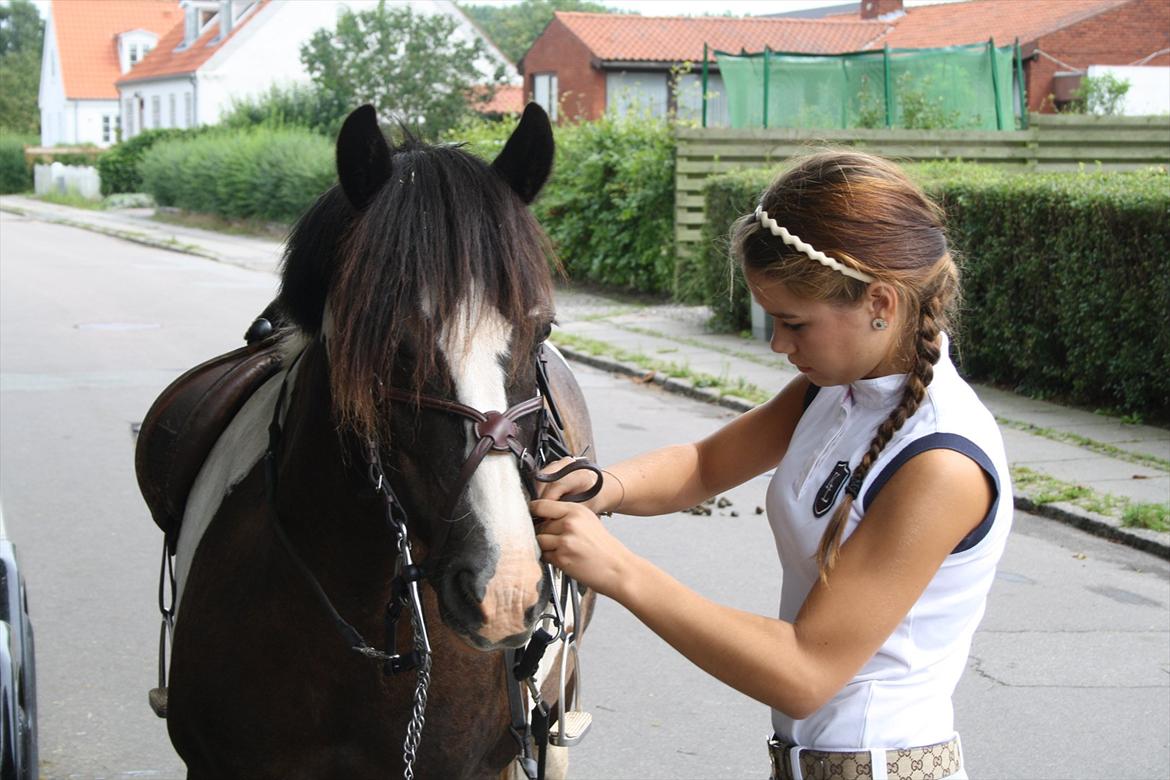 Anden særlig race Nuviia-Jessie billede 14