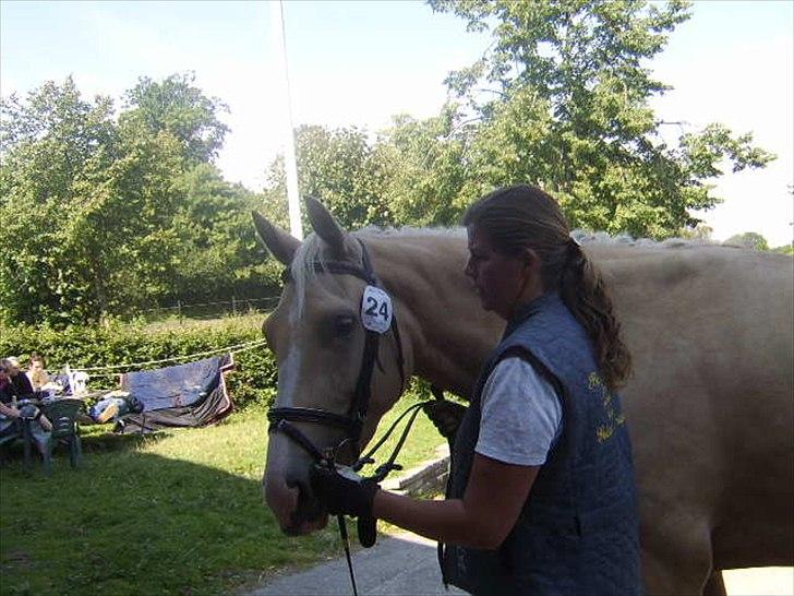 Palomino Bell Feodora billede 11