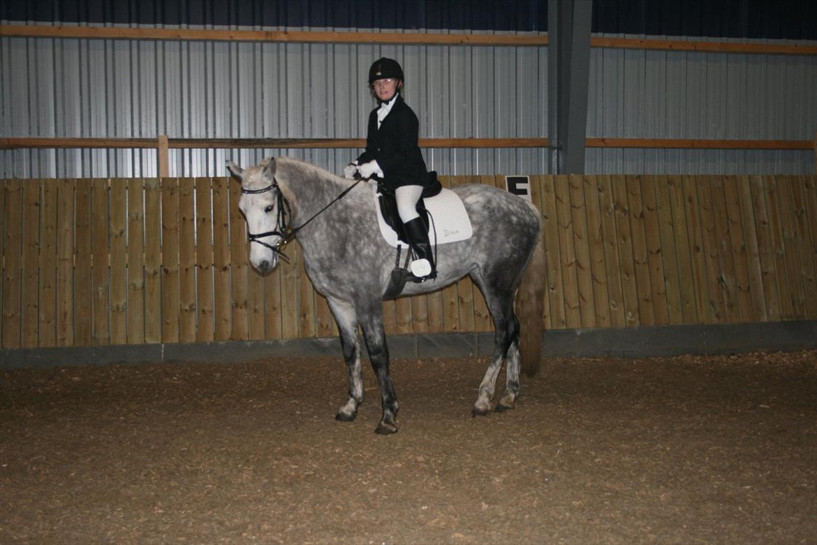 Connemara Borks Dixie Girl - Mit første stævne med Dixie. billede 2