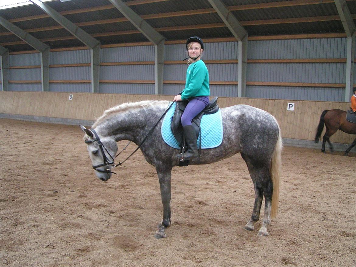 Connemara Borks Dixie Girl - Første gang jeg rigtigt red Dixie. Og så var hun lige blevet min. billede 3