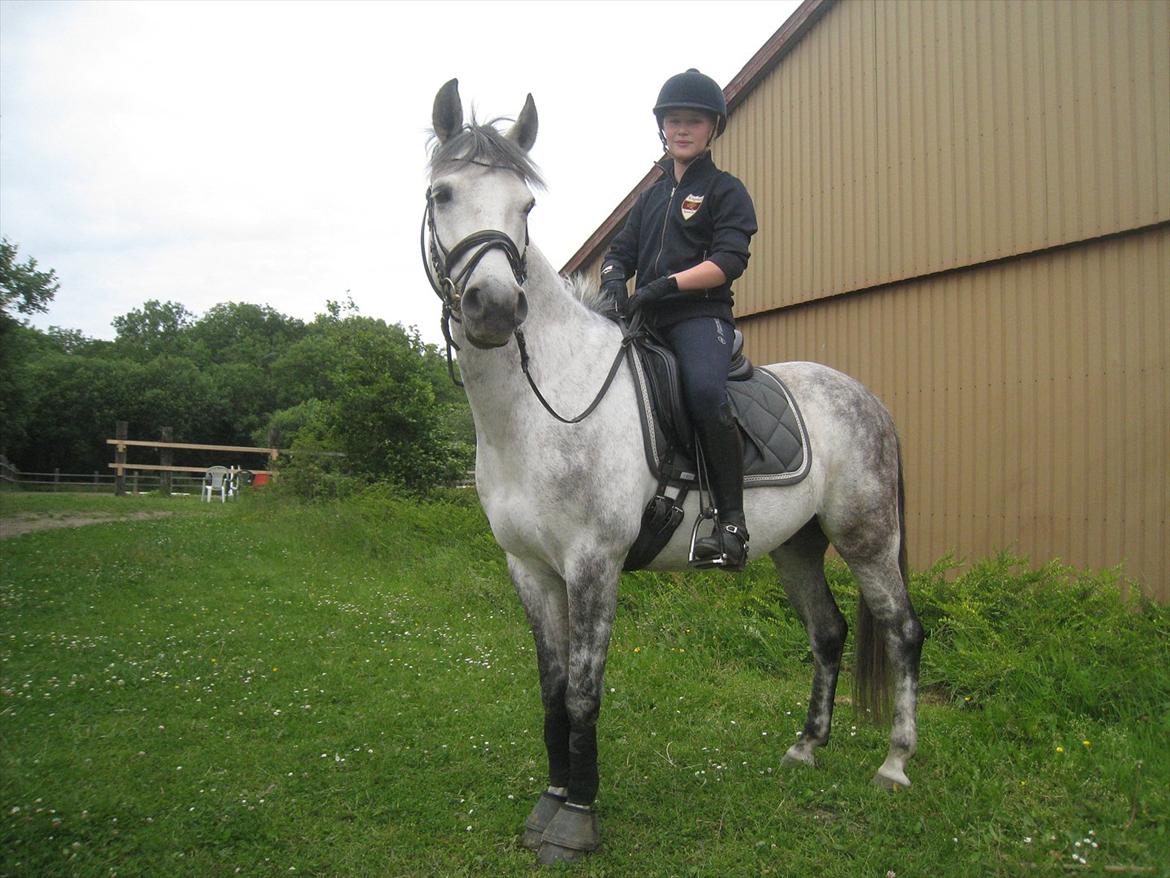 Anden særlig race Charmant  - :-) billede 15