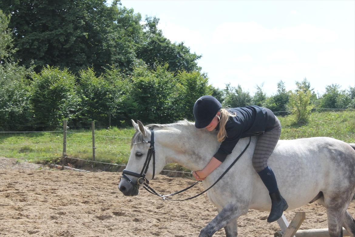 Anden særlig race Charmant  - :-) billede 18