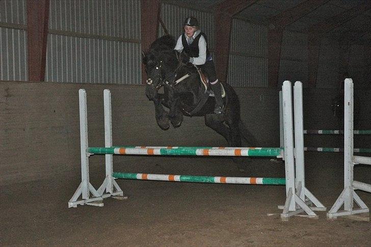 Frieser Golda - Foto: Tina billede 16