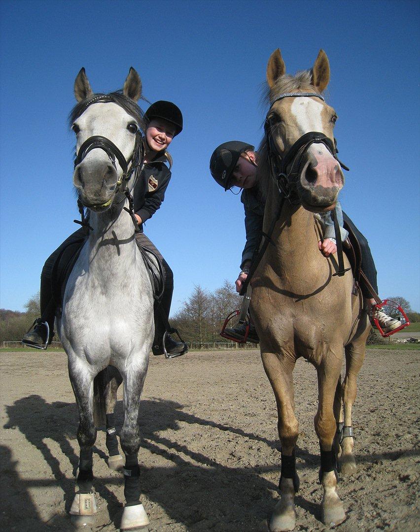 Anden særlig race Charmant  - Tak fordi i kiggede, lig endelig en kommentar eller en bedømmelse :-) billede 20