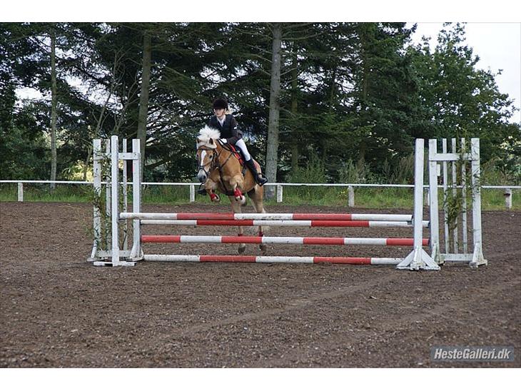 {{currentPhoto.altText}} billede {{currentPhoto.number}}