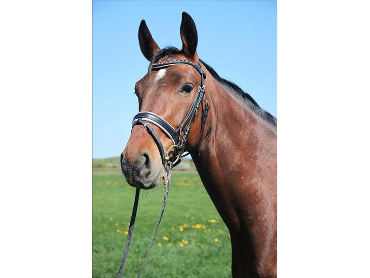 {{currentPhoto.altText}} billede {{currentPhoto.number}}