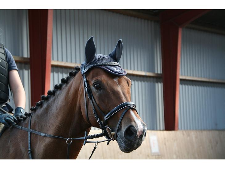 {{currentPhoto.altText}} billede {{currentPhoto.number}}