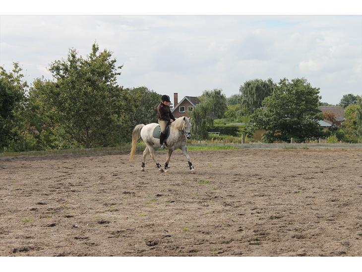 {{currentPhoto.altText}} billede {{currentPhoto.number}}