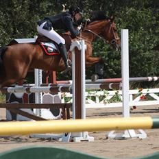 Anden særlig race Kyara *SEJE-REJE*