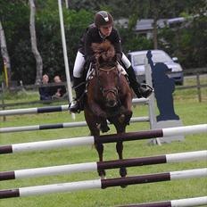 Tysk Sportspony Lindenbooms Patrizia(Amy)