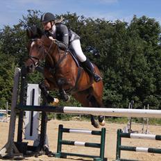 Anden særlig race Medoris 