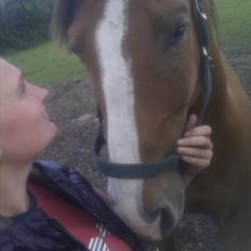 Anden særlig race Arkido