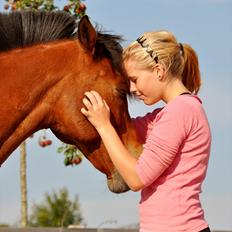 Anden særlig race Flying Star<3
