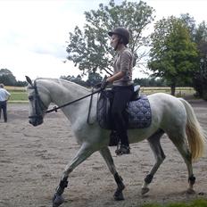 DSP Holmgaards Galant SOLGT