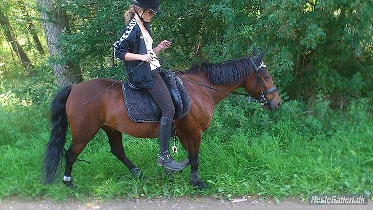 Anden særlig race Fighter (solgt) ;/ - Mig og Fighter på skovtur :)
Foto: Anne Sofie :) billede 7