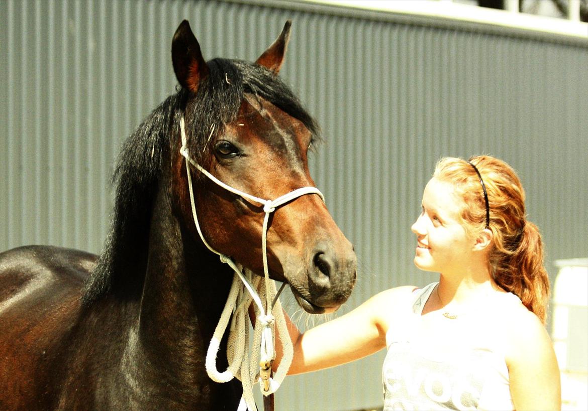 DSP | Vasehøjs Kasira | - [17] billede 12