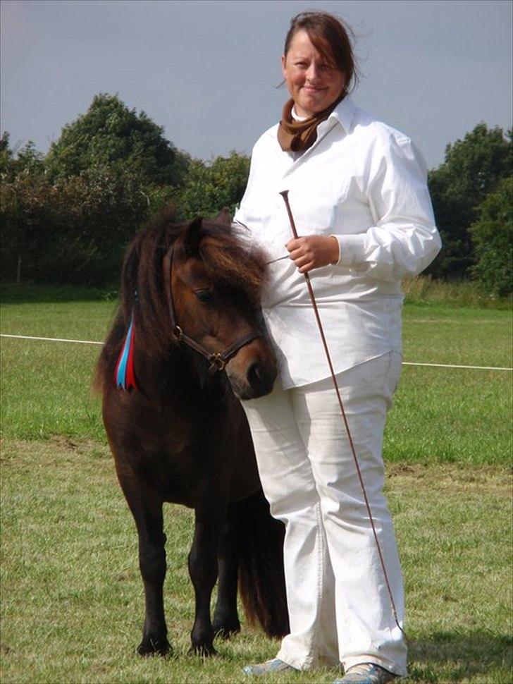 Shetlænder Ejstrups Perle - M og M show 2011 Foto : Maibritj billede 16