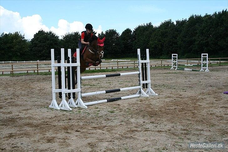 DSP - ELVITA <3 - "Den største fornøjelse i livet, er at gøre det som andre siger, er umuligt"

1 meter! ö kig fotoalbum<3 i mejlby<3
elsker hende (-': 4 gang jeg springer! 9 august 2011<3 billede 5