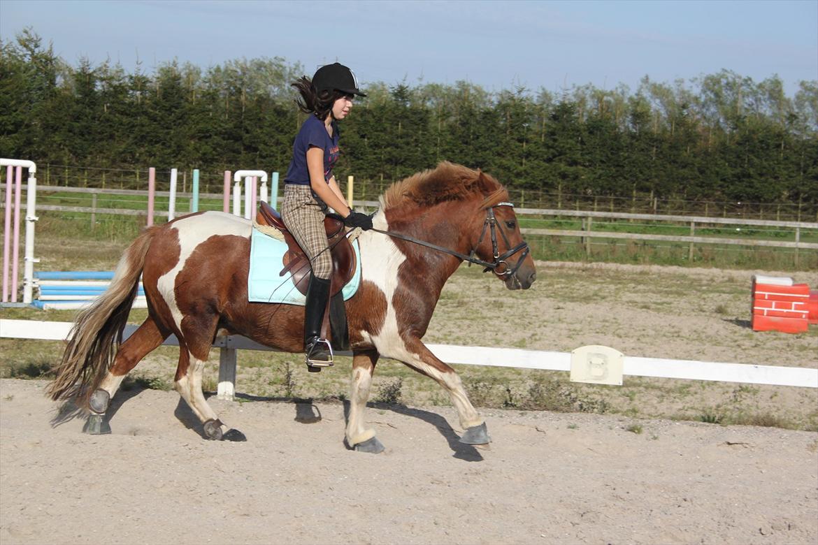 Anden særlig race Flamme *.. Bølle pony!<3 (Solgt) ;'(<3 - Flamme og mig i fuld Galop. :]
- Hvis jeg skulle findet en ting der var perfekt ved dig, ville jeg svare ALT!<3
Elsker det billed.<3
Foto: Maria/søster billede 6
