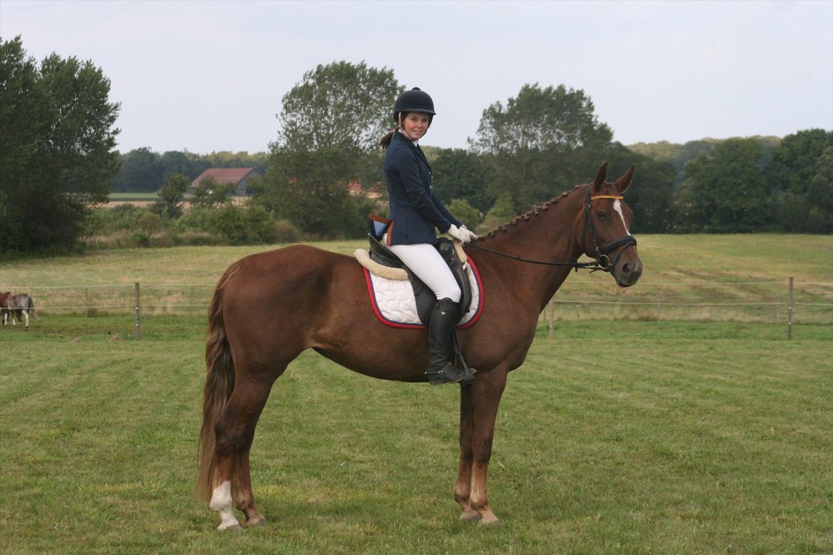 Anden særlig race Donna - Dressurstævne august 2011 billede 16