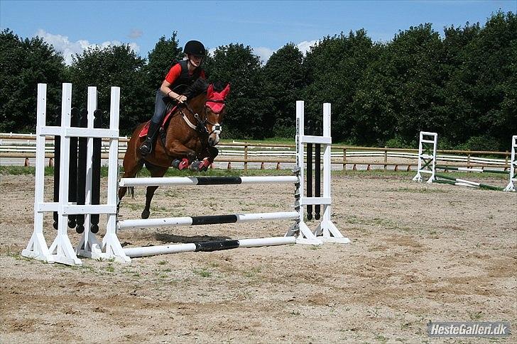 DSP - ELVITA <3 - "At leve er at drømme.. kunsten er at leve sine drømme" 

hun er så sej<3 over 90 cm.<3  9 august 2011<3 billede 9