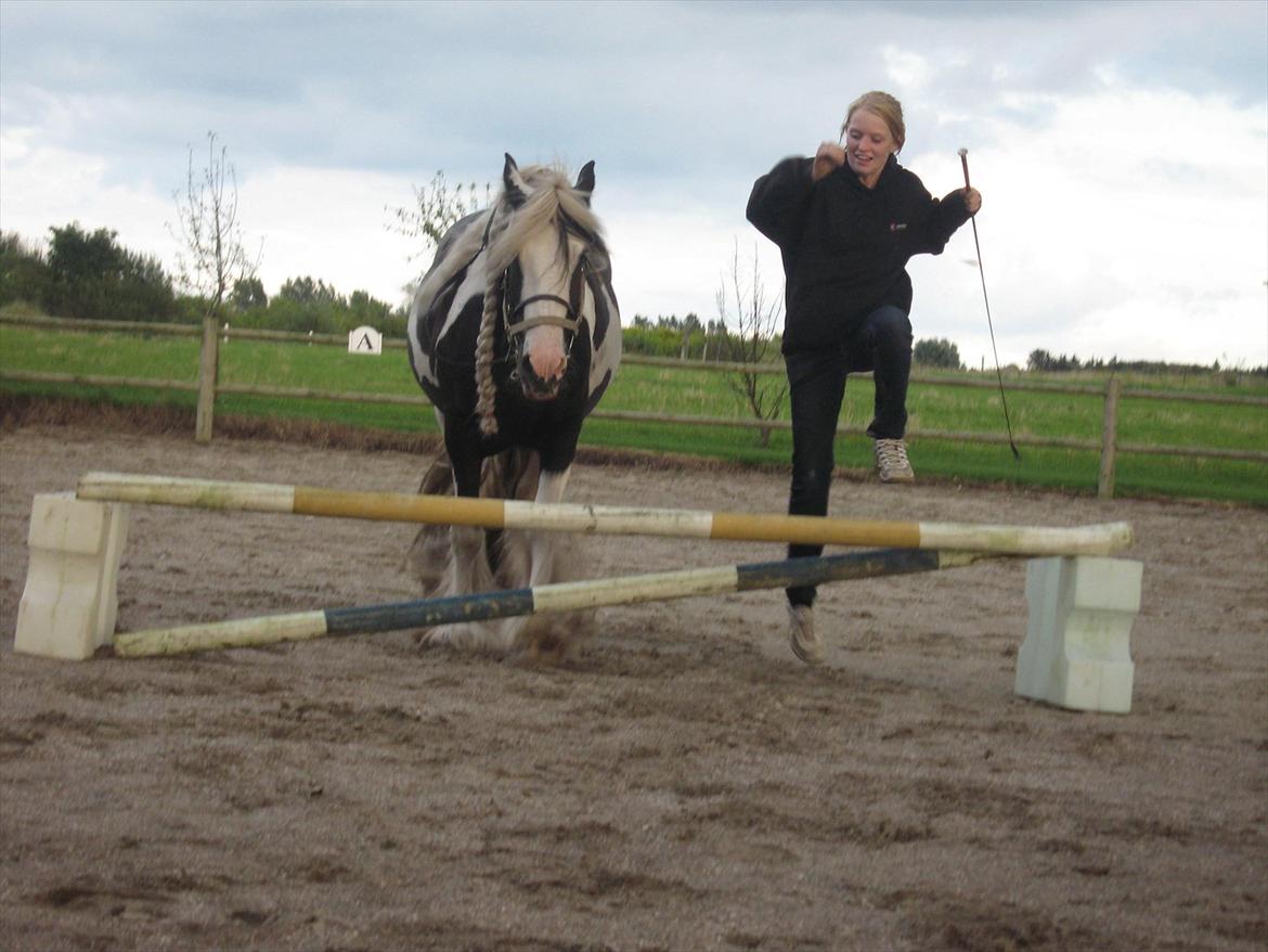 Tinker Sir Aragorn billede 15