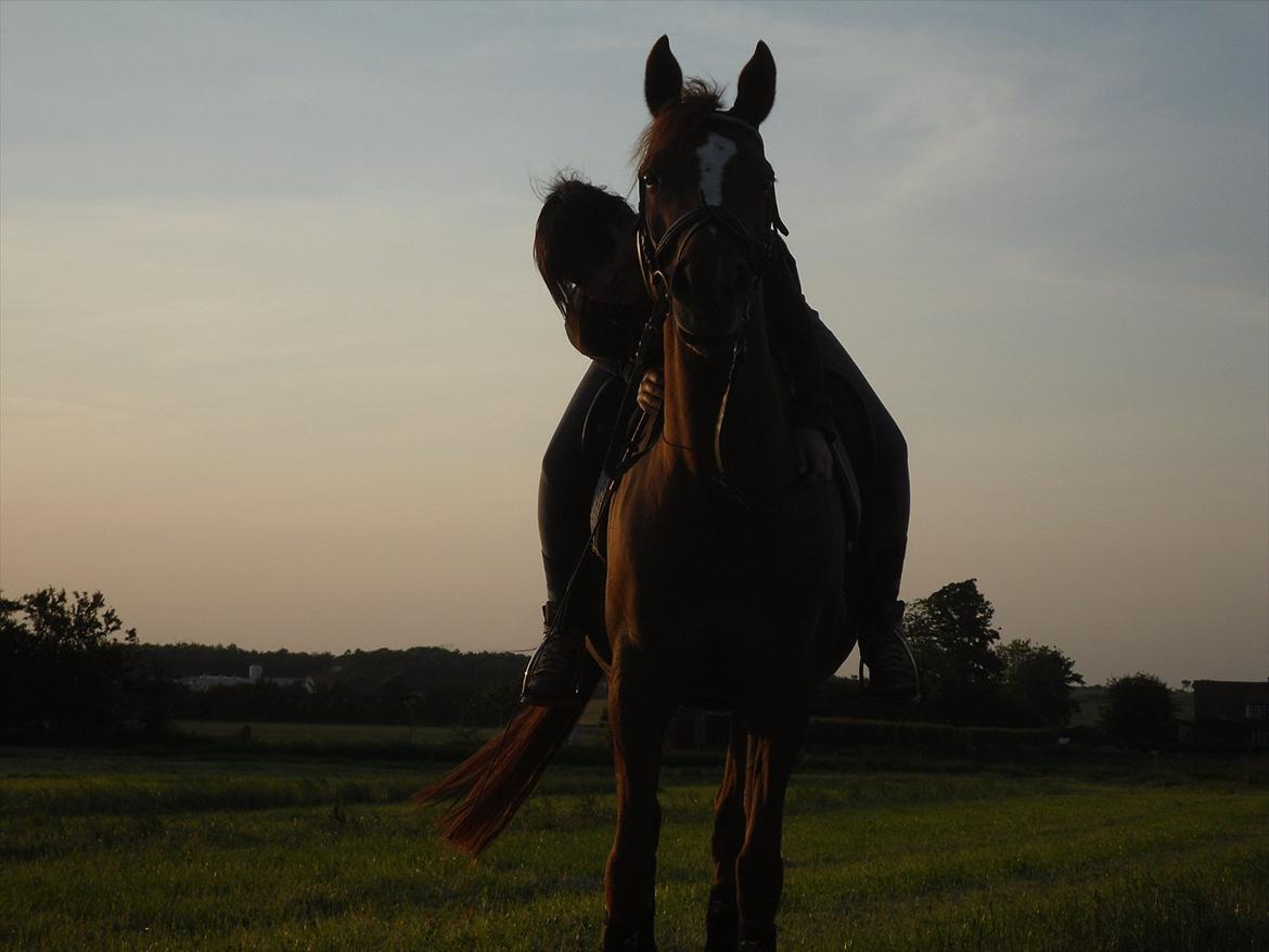 Anden særlig race Ahorns kira <3 *SOLGT* - <3 billede 20