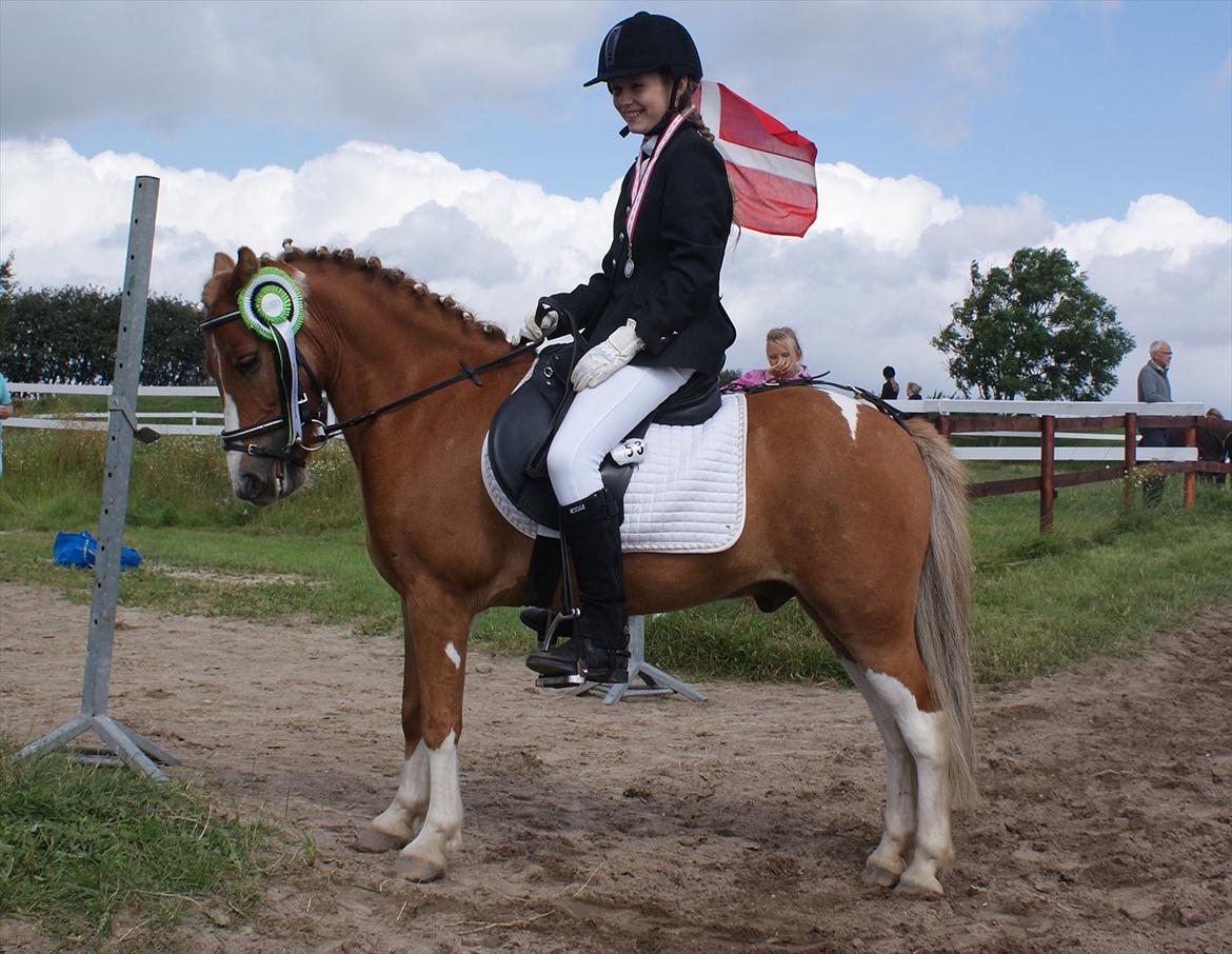 Anden særlig race Peter (Solgt) billede 18