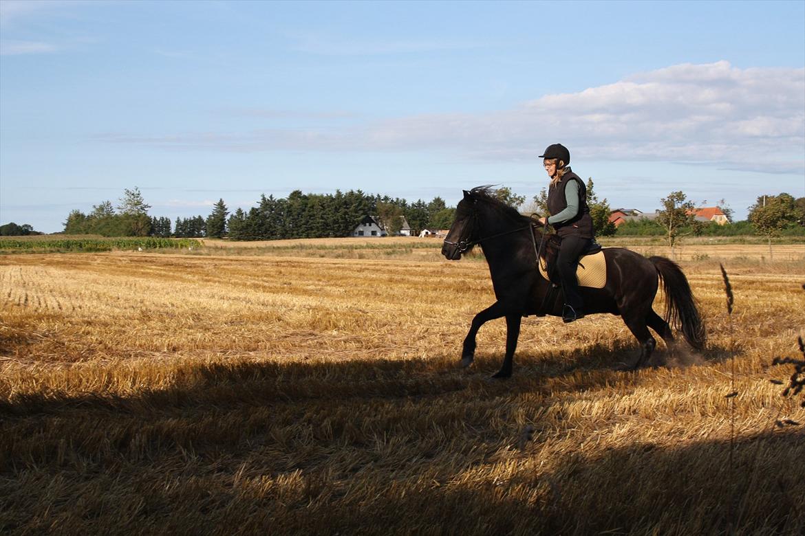 Islænder Ari fra Sysselhaven - Så er det afsted billede 11