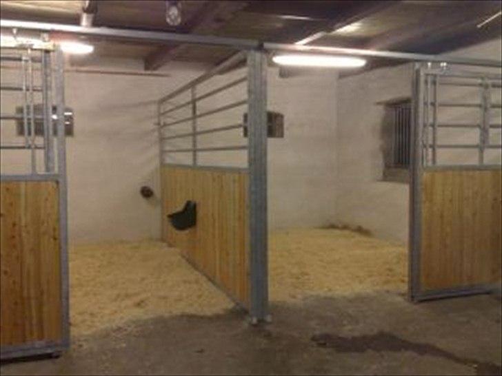 Shetlænder Trille - boksene de står i <3 billede 13