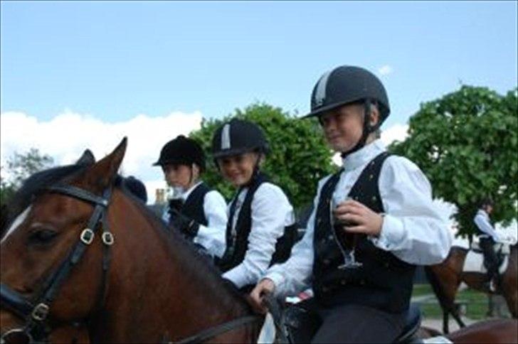 Anden særlig race Jackpot - ringridning billede 9