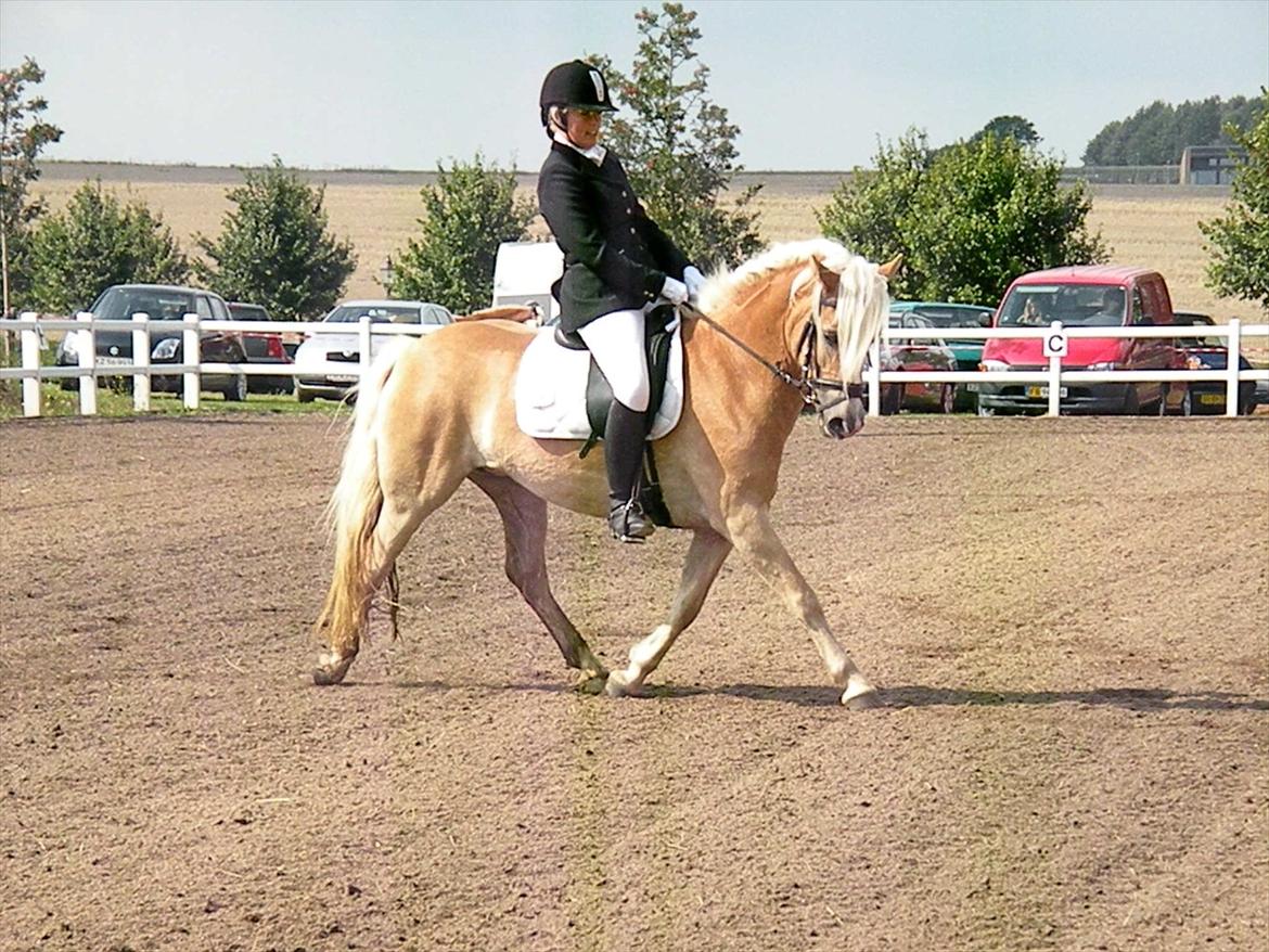 Haflinger Nyegaards Nascha EHA 573. - LC1 på Louiselund til DM for Haflingere d. 20. August 2011.
Nascha havde et toilet-stop under programmet! - så jeg var rigtig glad for vores 61,25% :) billede 17