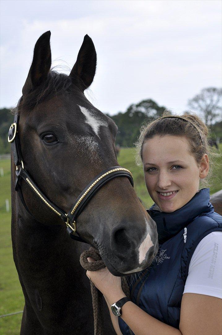 New Forest Elmholts Education A-pony (solgt) - Tak for alle de fantastiske stævner sammen! DM 2011! Vi var med! Jeg elsker dig min Eddie :') <3 billede 6