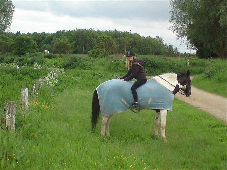 Anden særlig race * min smukke laban*  billede 1