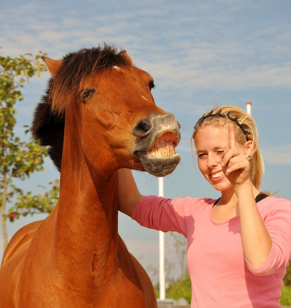 Anden særlig race Flying Star<3 - Det blik, der bringer et ægte smil frem, giver ikke kun en speciel følelse, men også en grund til at føle sig speciel og det gør livet værd at leve<3 billede 1