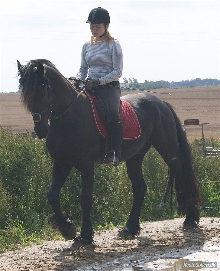 Frieser Gorba / R.I.P - lækker lækker
foto : louise algrensen billede 3