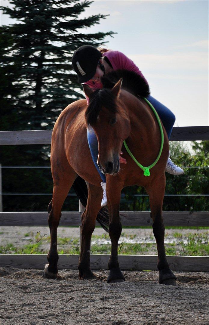 Anden særlig race Flying Star<3 - If ever there is tomorrow when we're not together.. there is something you must always remember. You are braver than you believe, stronger than you seem, and smarter than you think. but the most important thing is, even if we're apart.. I will always be w billede 5